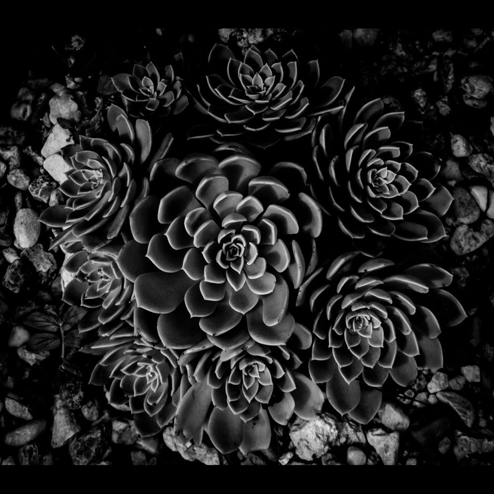 Thanks for checking out my posh-page!